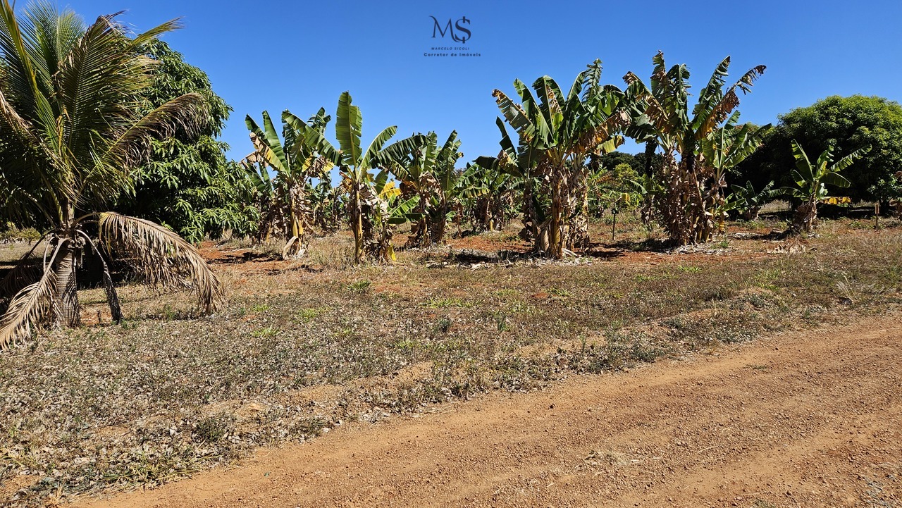 Imagem Terreno à Venda, 5 m²em Zona de Dinamização (Santa Maria) - Brasília