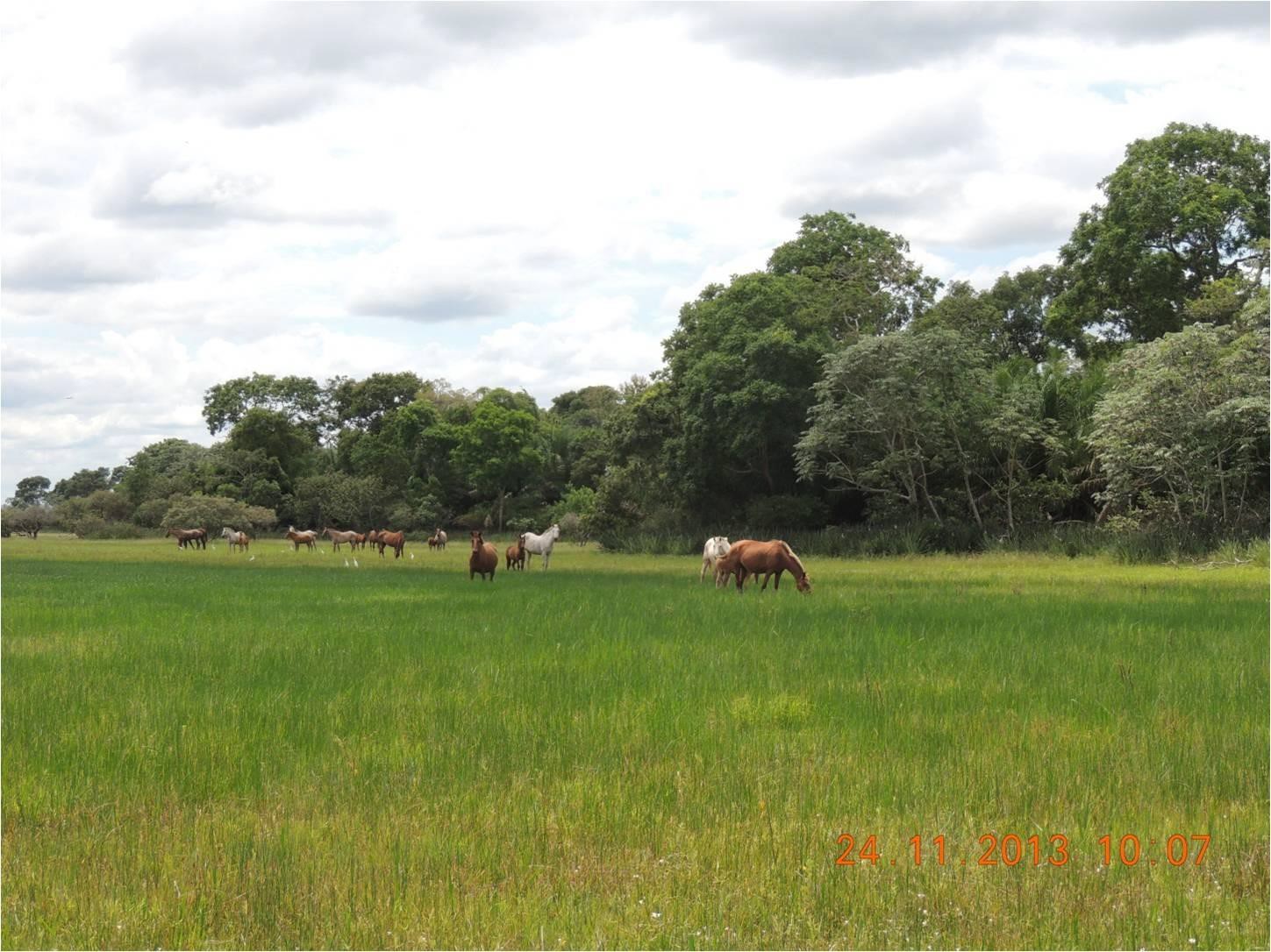 Imagem Fazenda à Venda, 23 HAem Zona Rural - Aquidauana Imagem Fazenda à Venda, 23 HAem Zona Rural - Aquidauana