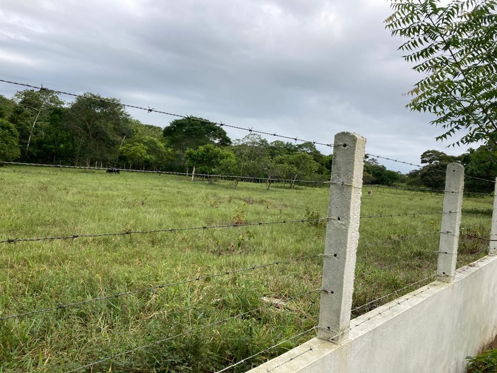 Imagem Imóvel com 5 Quartos à Venda, 400 m²em Murutuba - Cachoeira Imagem Imóvel com 5 Quartos à Venda, 400 m²em Murutuba - Cachoeira