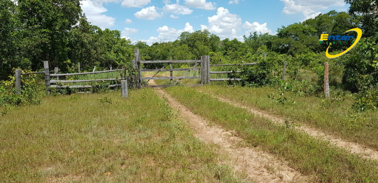 Imagem Fazenda à Venda, 681.000 m² em rural - São João D'Aliança