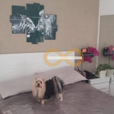 Imagem Apartamento com 2 Quartos à Venda, em Várzea - Teresópolis Imagem Apartamento com 2 Quartos à Venda, em Várzea - Teresópolis