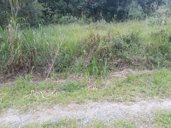 Imagem Terreno à Venda, 2.552 m² em Taipas De Pedras (Mailasqui) - São Roque Imagem Terreno à Venda, 2.552 m² em Taipas De Pedras (Mailasqui) - São Roque