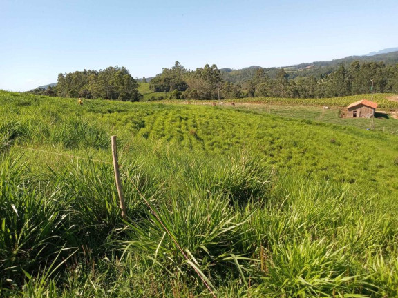 Terreno à Venda,  em Barracão - Orleans