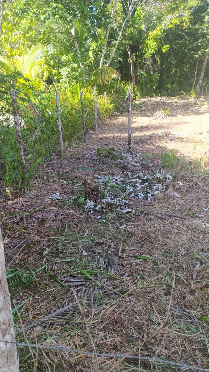 Imagem Terreno à Venda, 310 m²em Velha Boipeba - Cairu