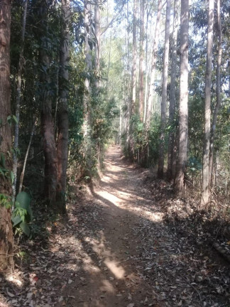 Imagem Terreno à Venda, 123.000 m² em Zona Rural - Santa Bárbara do Tugúrio Imagem Terreno à Venda, 123.000 m² em Zona Rural - Santa Bárbara do Tugúrio