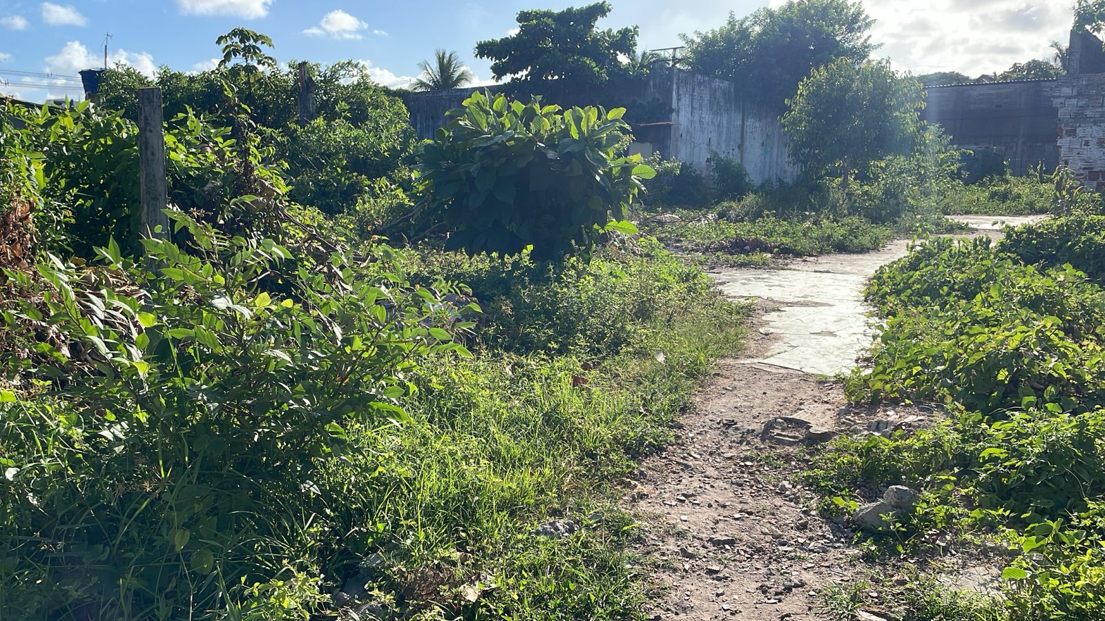Imagem Terreno à Venda, 1.400 m² em Barra de Jangada - Jaboatão dos Guararapes