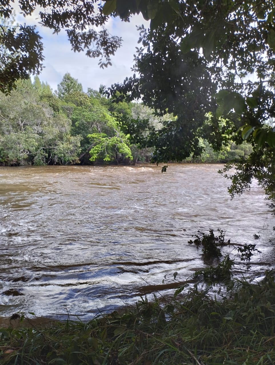 Imagem Terreno à Venda, 3.000 m² em Entre Rios - Entre Rios