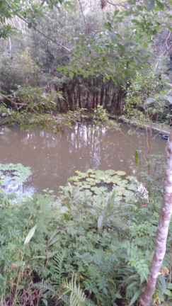 Imagem Chácara com 4 Quartos à Venda ou Locação, 362 m²em Parque Boa Vista - Embú Guaçu Imagem Chácara com 4 Quartos à Venda ou Locação, 362 m²em Parque Boa Vista - Embú Guaçu