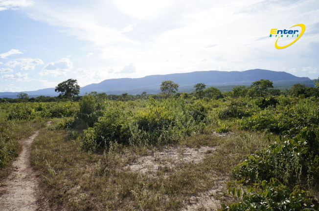 Imagem Fazenda à Venda, 681.000 m² em rural - São João D'Aliança