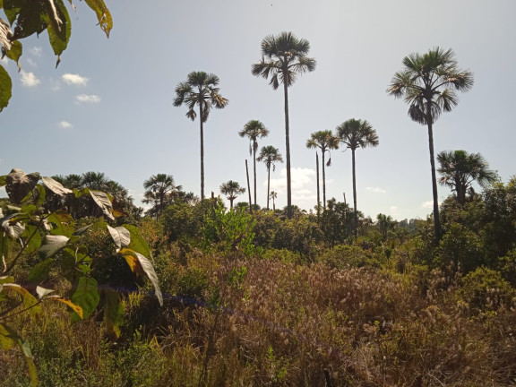 Imagem Terreno à Venda, 3.655.251 m²em Estância Vargem Bonita - Senador Canedo