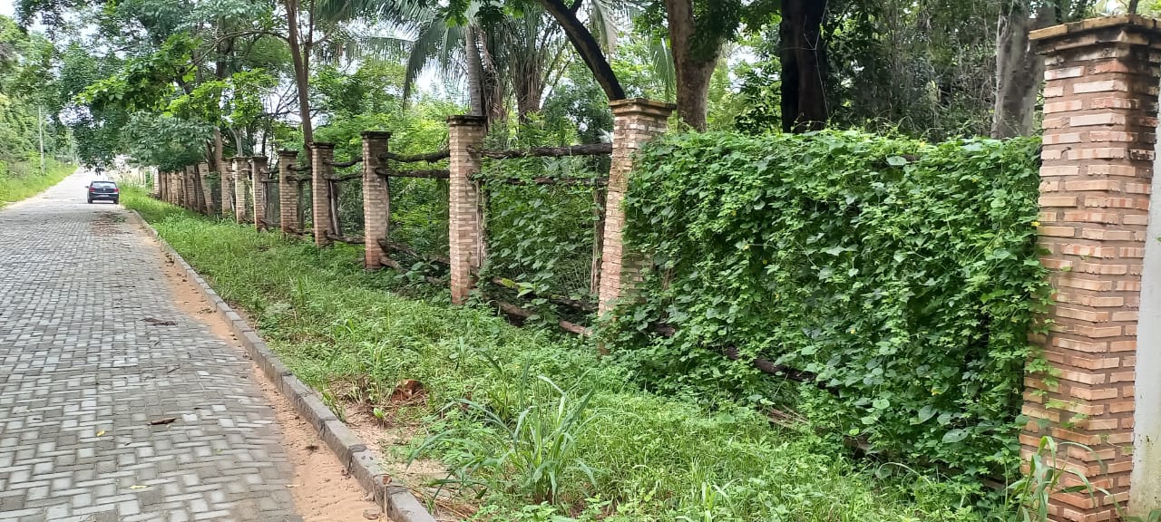 Imagem Chácara com 5 Quartos à Venda, 60.000 m² em Zoobotânico - Teresina Imagem Chácara com 5 Quartos à Venda, 60.000 m² em Zoobotânico - Teresina