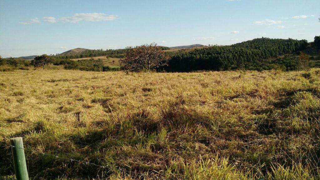 Imagem Fazenda à Venda, 51 HAem zona rural - Desterro de Entre Rios Imagem Fazenda à Venda, 51 HAem zona rural - Desterro de Entre Rios