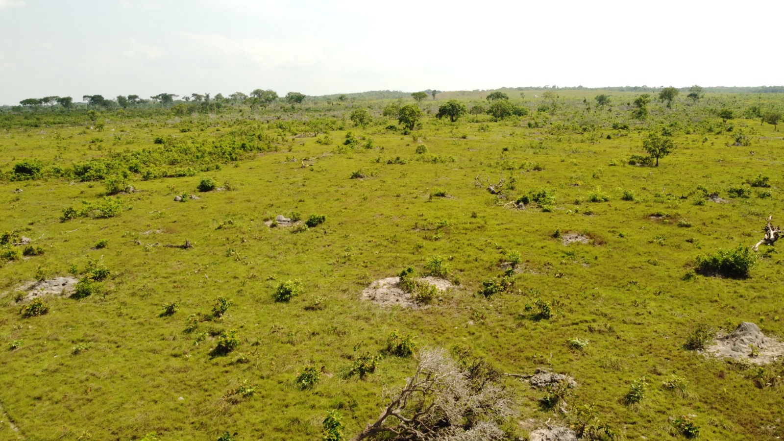 Imagem Fazenda à Venda, 523.000 HA em Mata Geral - Redenção