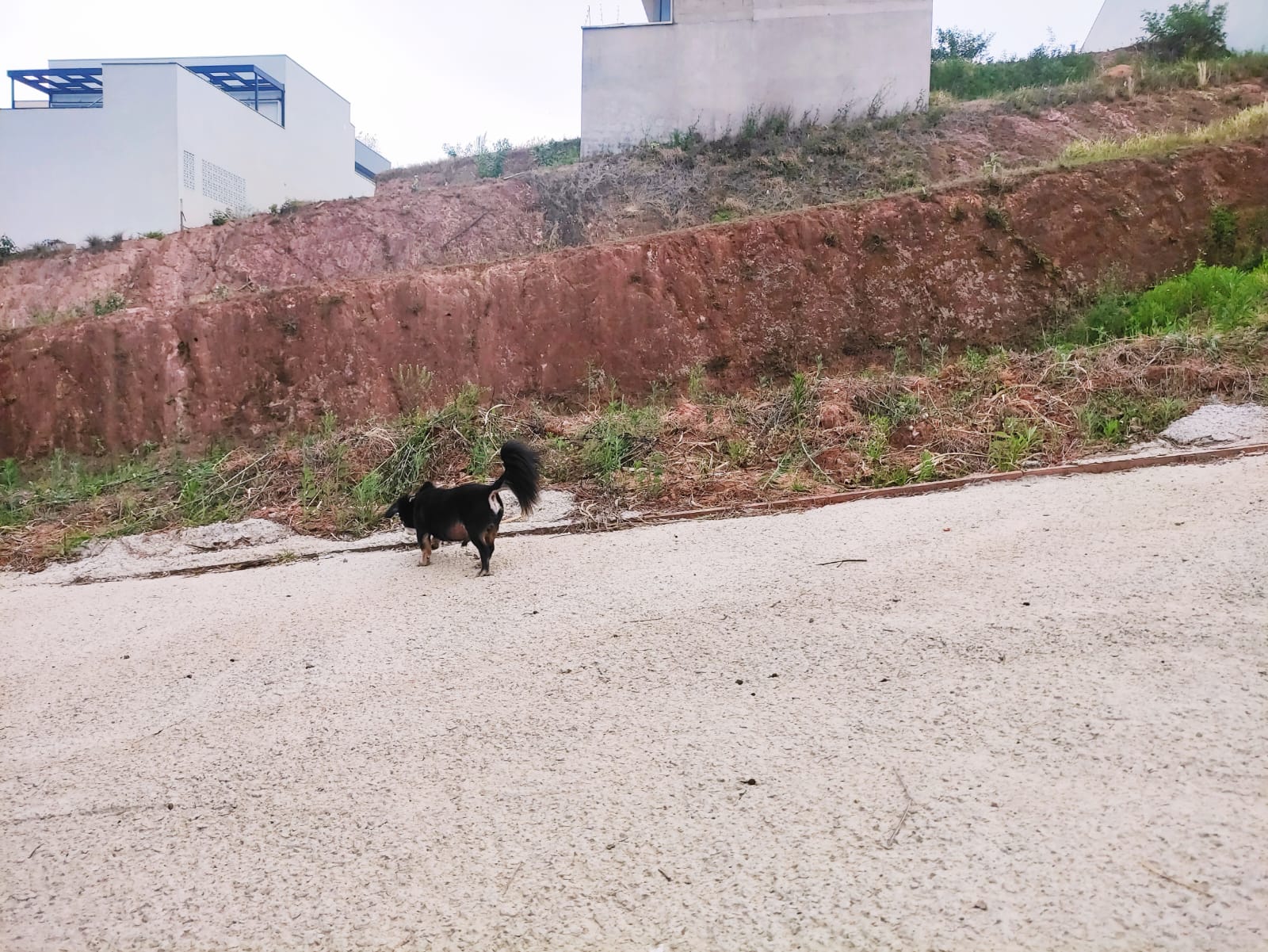 Imagem Terreno à Venda, 250 m²em Loteamento Jardim Ipanema - Jundiaí