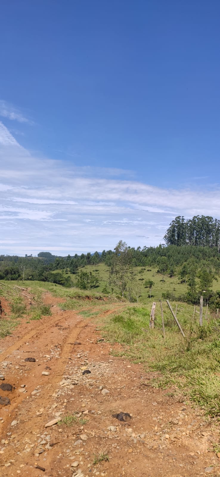 Imagem Fazenda à Venda, 34 HAem Brusque do Sul - Orleans