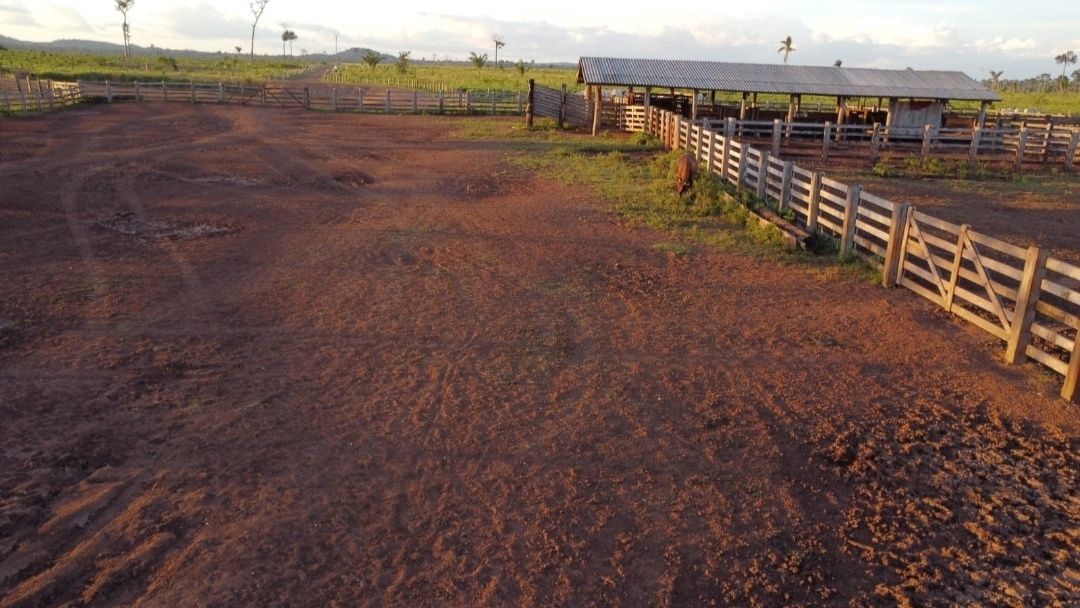 Imagem Fazenda à Venda, 430 m² em Centro  - São Félix do Xingu