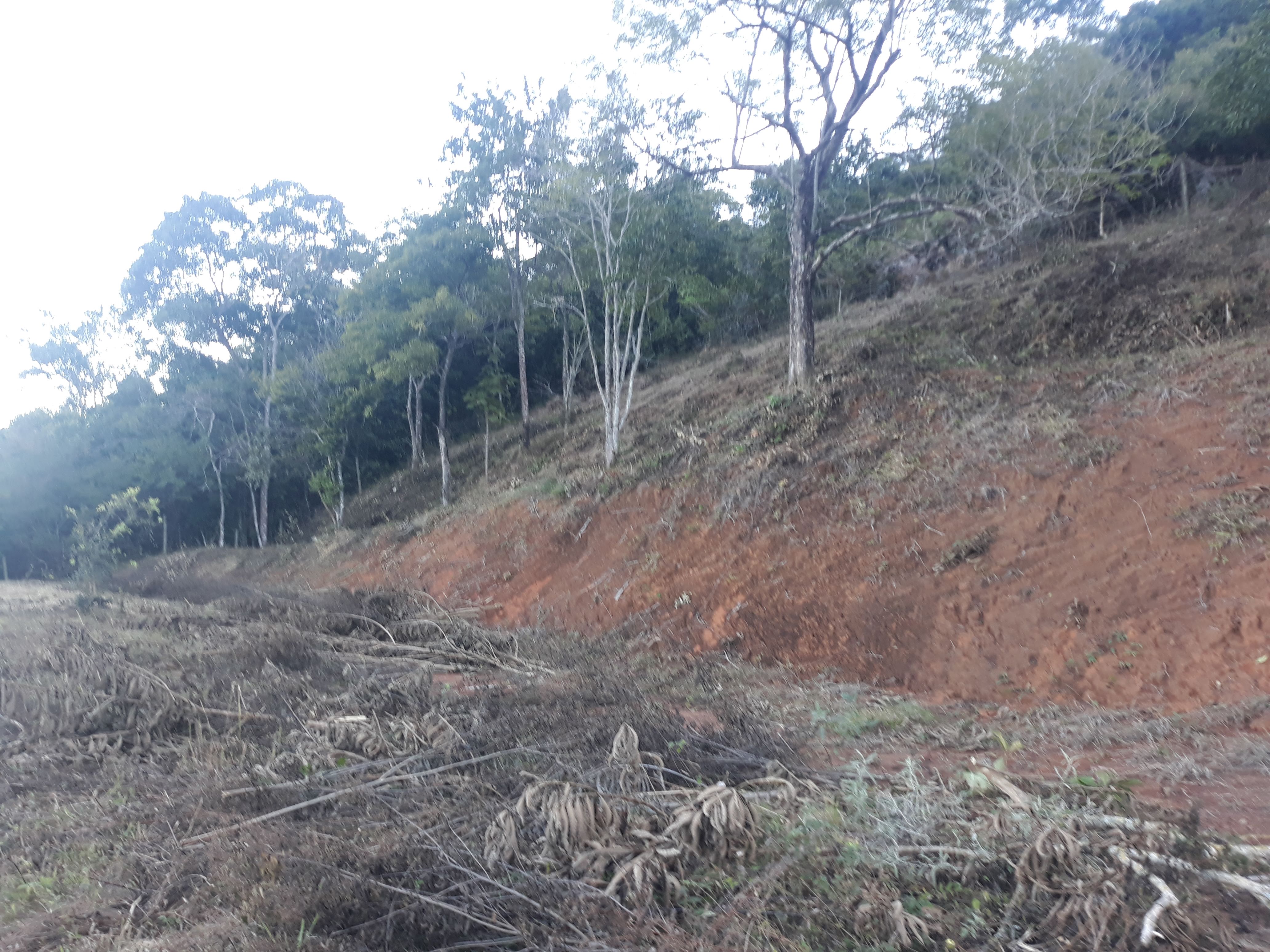 Imagem Terreno à Venda, em Humaitá - Juiz de Fora Imagem Terreno à Venda, em Humaitá - Juiz de Fora
