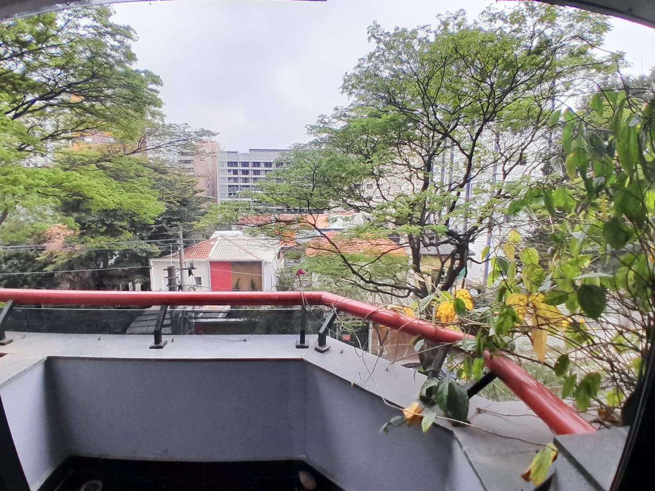 Imagem Apartamento com 3 Quartos à Venda, 81 m² em Vila Clementino - São Paulo