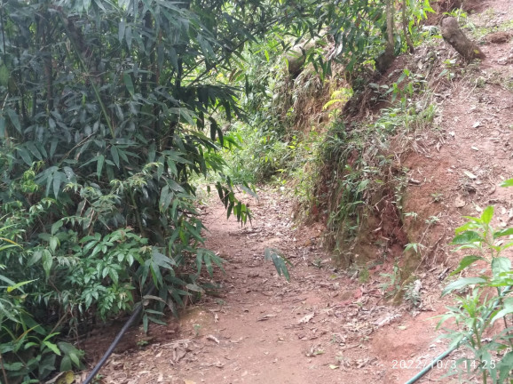 Imagem Terreno à Venda, 1.052 m² em Colinas do Imbiri - Campos do Jordão