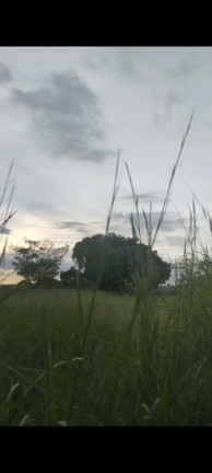 Imagem Terreno à Venda, 20.000 m² em Chácaras Brasil B - Valparaíso de Goiás