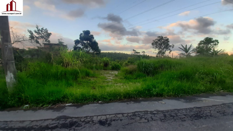 Terreno à Venda, 177 m² em Serpa - Caieiras
