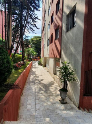 Imagem Apartamento com 2 Quartos à Venda, 55 m² em Cidade Ademar - São Paulo Imagem Apartamento com 2 Quartos à Venda, 55 m² em Cidade Ademar - São Paulo