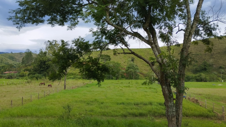 Imagem Chácara à Venda, em Bairro dos Souzas - Monteiro Lobato Imagem Chácara à Venda, em Bairro dos Souzas - Monteiro Lobato