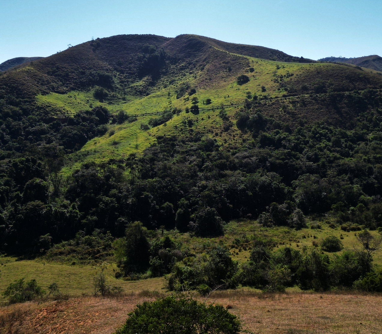 Imagem Fazenda à Venda, 459.000 HA em Área Rural de Valença - Valença