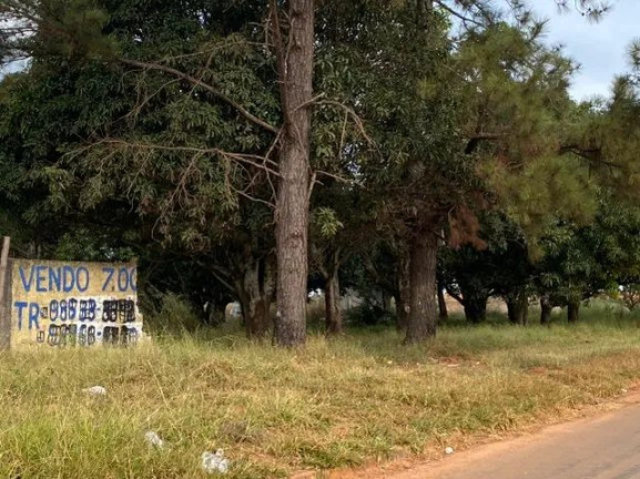 Imagem Terreno à Venda, 7.000 m² em Chácaras Coimbra - Águas Lindas de Goiás Imagem Terreno à Venda, 7.000 m² em Chácaras Coimbra - Águas Lindas de Goiás