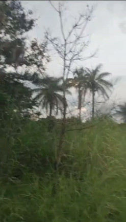 Imagem Terreno à Venda, 20.000 m² em Chácaras Brasil B - Valparaíso de Goiás