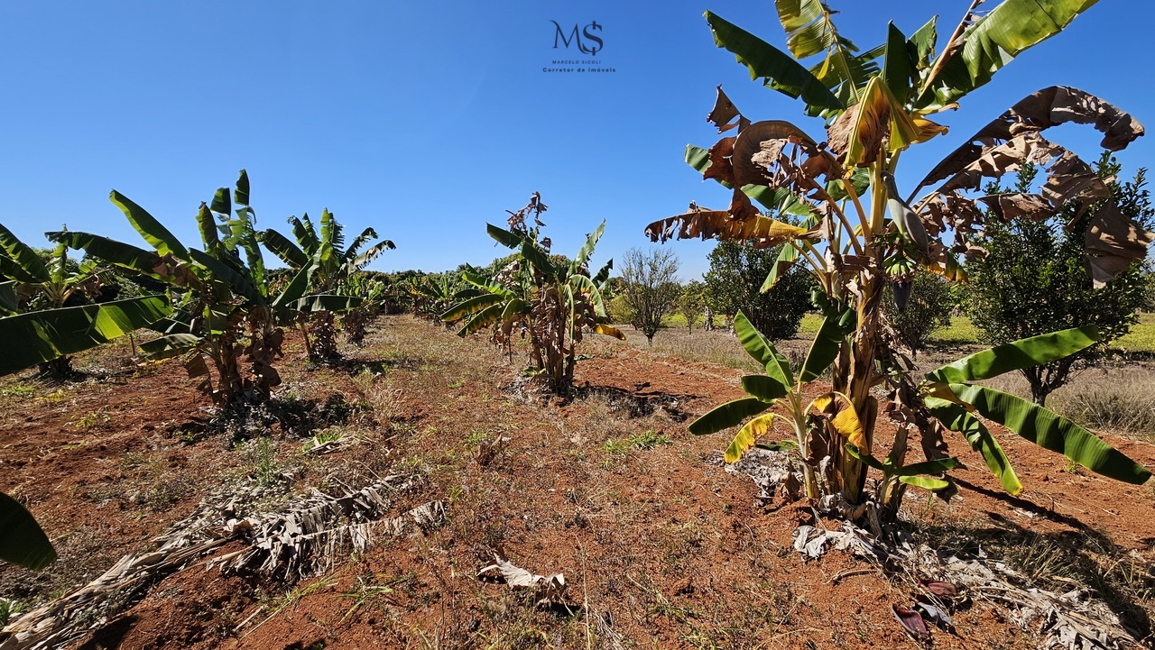 Imagem Terreno à Venda, 5 m²em Zona de Dinamização (Santa Maria) - Brasília