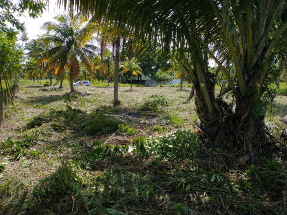 Imagem Terreno em Condomínio à Venda, 1.470 m² em Paiva - Cabo de Santo Agostinho