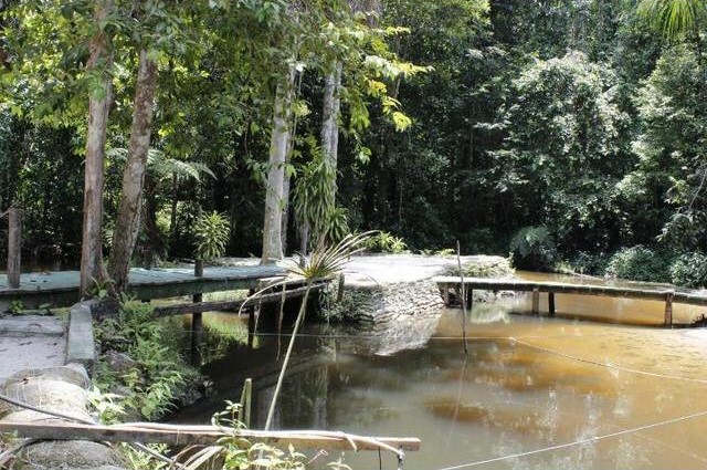 Imagem Chácara com 6 Quartos à Venda, 1 m² em área Rural - Manaus Imagem Chácara com 6 Quartos à Venda, 1 m² em área Rural - Manaus