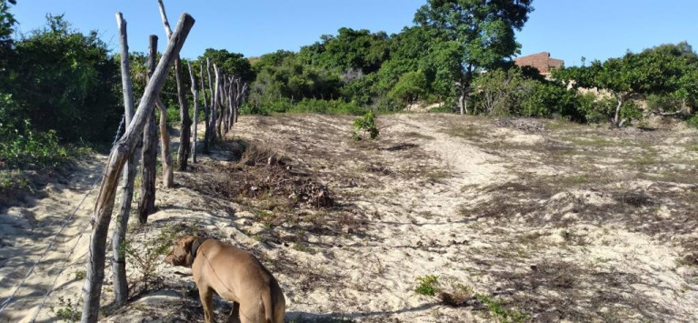 Imagem Terreno à Venda, 5.658 m²em Pajuçara - Natal