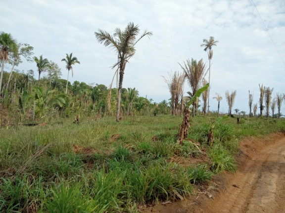 Imagem Terreno à Venda, 2.000 m² em Zona Rural - Humaitá Imagem Terreno à Venda, 2.000 m² em Zona Rural - Humaitá