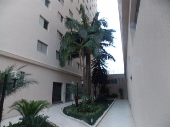 Imagem Apartamento com 2 Quartos para Alugar, 60 m² em Mooca - São Paulo Imagem Apartamento com 2 Quartos para Alugar, 60 m² em Mooca - São Paulo