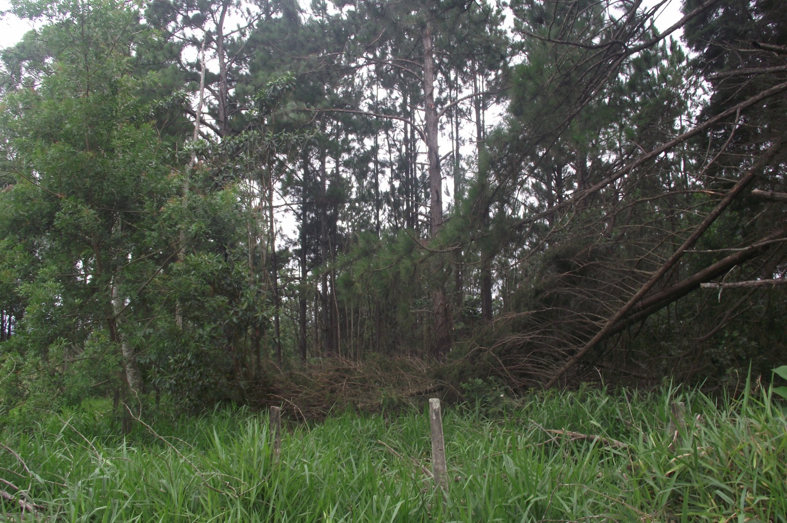 Imagem Terreno à Venda, 24.452 m² em Apotribu de Cima - Itu Imagem Terreno à Venda, 24.452 m² em Apotribu de Cima - Itu