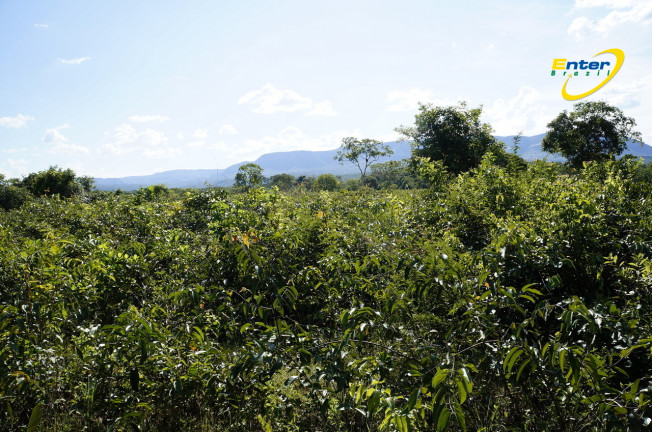 Imagem Fazenda à Venda, 681.000 m² em rural - São João D'Aliança