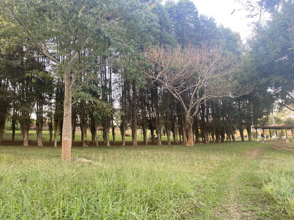 Imagem Terreno à Venda, 1.000 m² em Jardim Primavera - Salto de Pirapora Imagem Terreno à Venda, 1.000 m² em Jardim Primavera - Salto de Pirapora