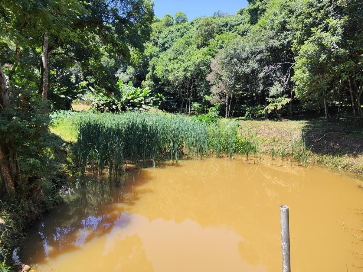 Imagem Chácara à Venda, 10.000 m² em Colônia Mariana  - Campo Largo 