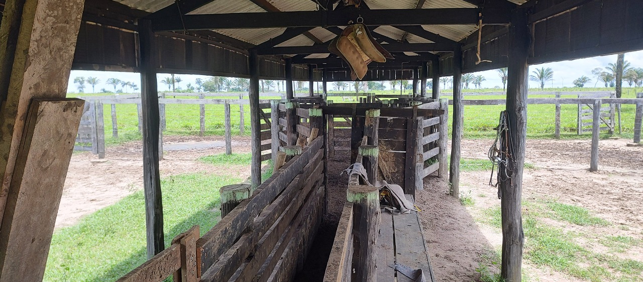 Imagem Fazenda à Venda, em Zona Rural - São Geraldo do Araguaia
