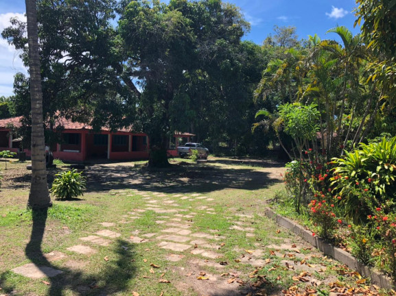 Imagem Fazenda à Venda ou Locação, 25.000 m² em Aurora - São Luís