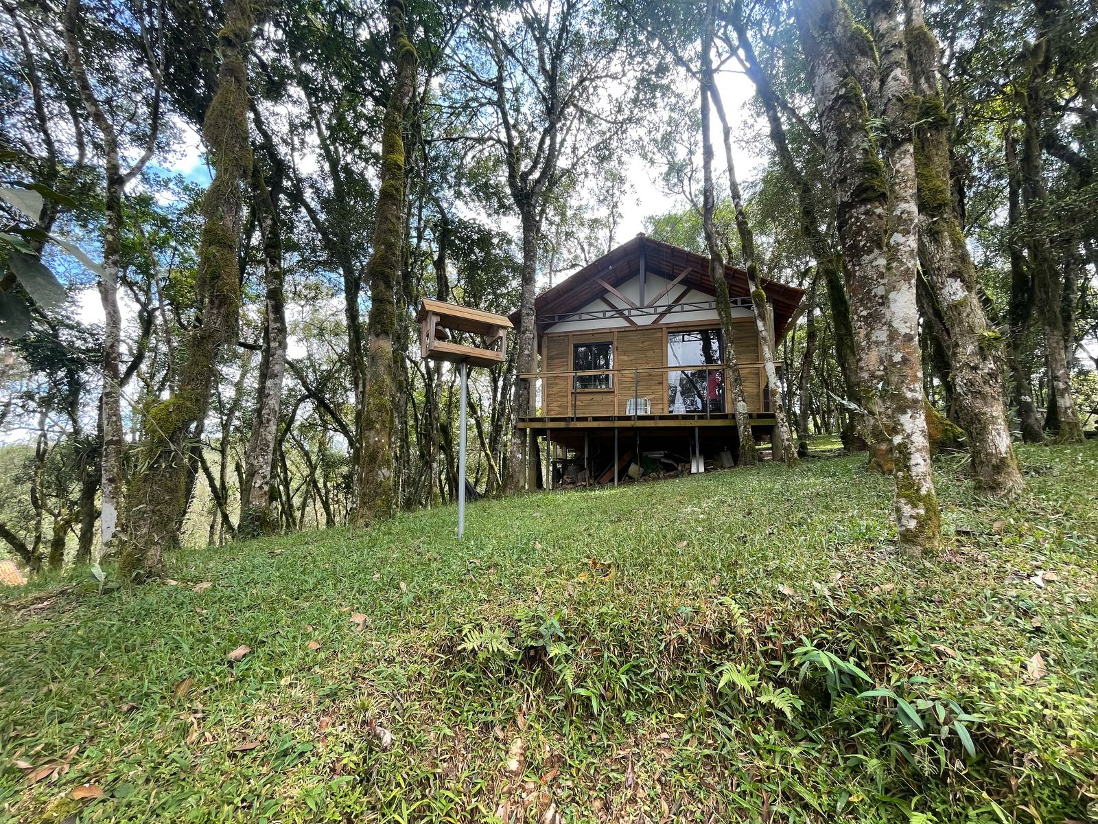 Imagem Chácara com 3 Quartos à Venda, 6.800 m² em Salgadinho - Campo Largo