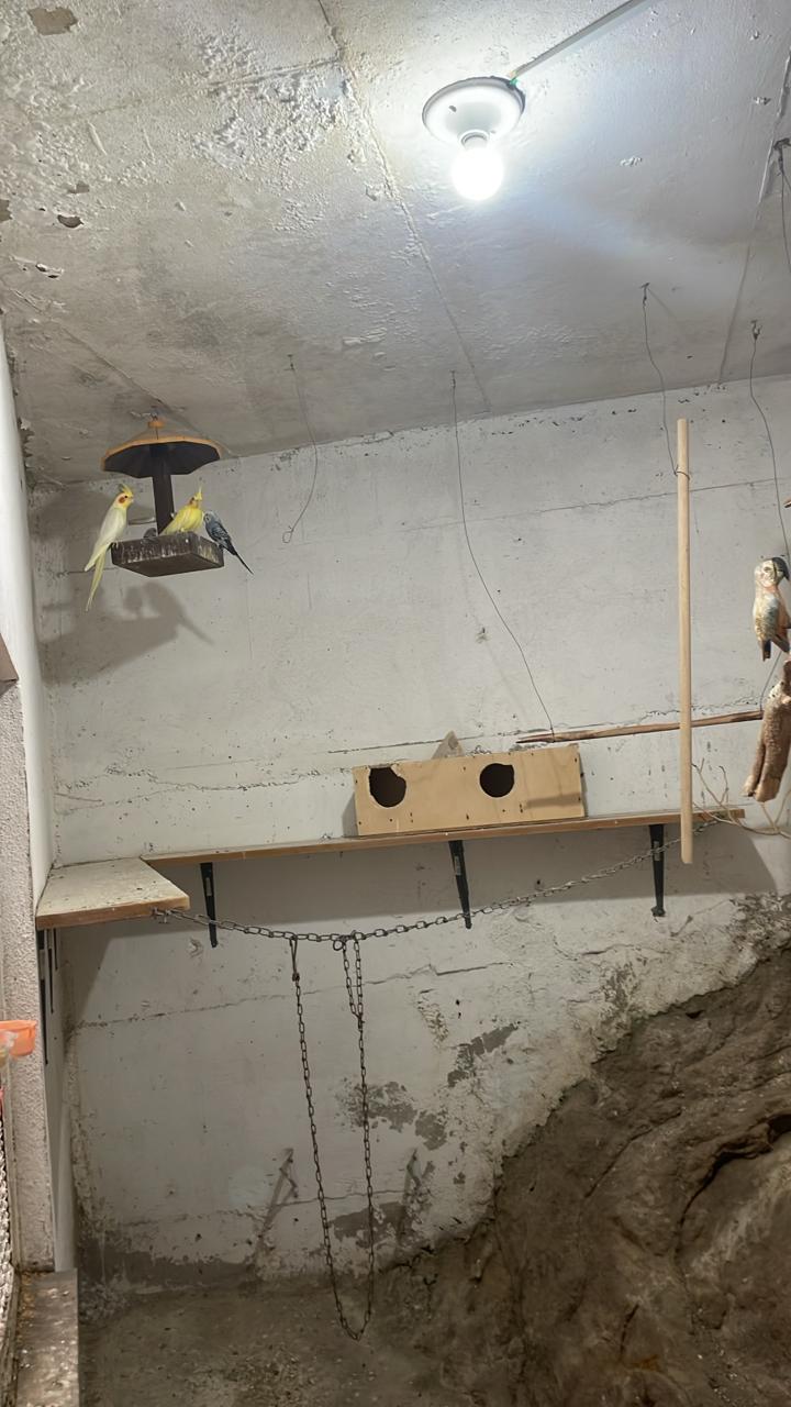 Imagem Casa com 4 Quartos à Venda, 300 m² em Guaratiba - Rio de Janeiro Imagem Casa com 4 Quartos à Venda, 300 m² em Guaratiba - Rio de Janeiro