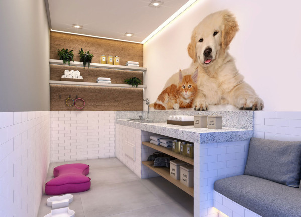 Imagem Apartamento com 2 Quartos à Venda, 35 m² em Cambuci - São Paulo
