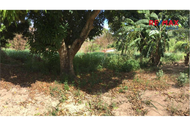 Imagem Chácara com 5 Quartos à Venda, 300 m² em Alvorada (Bacaxá) - Saquarema
