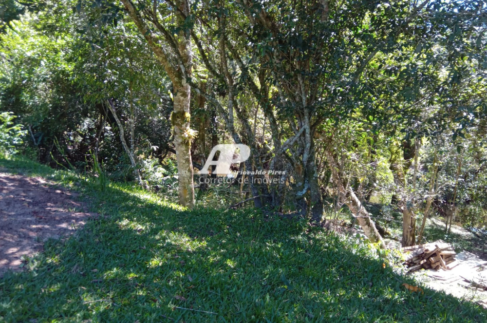 Chácara com 3 Quartos à Venda, 68 m²em San Martin - Ponta Grossa