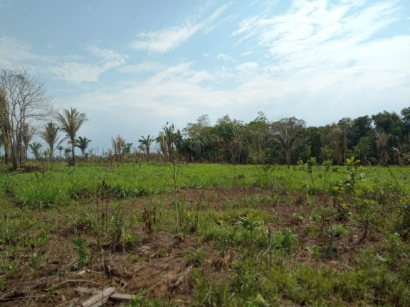 Imagem Terreno à Venda, 2.000 m² em Zona Rural - Humaitá Imagem Terreno à Venda, 2.000 m² em Zona Rural - Humaitá