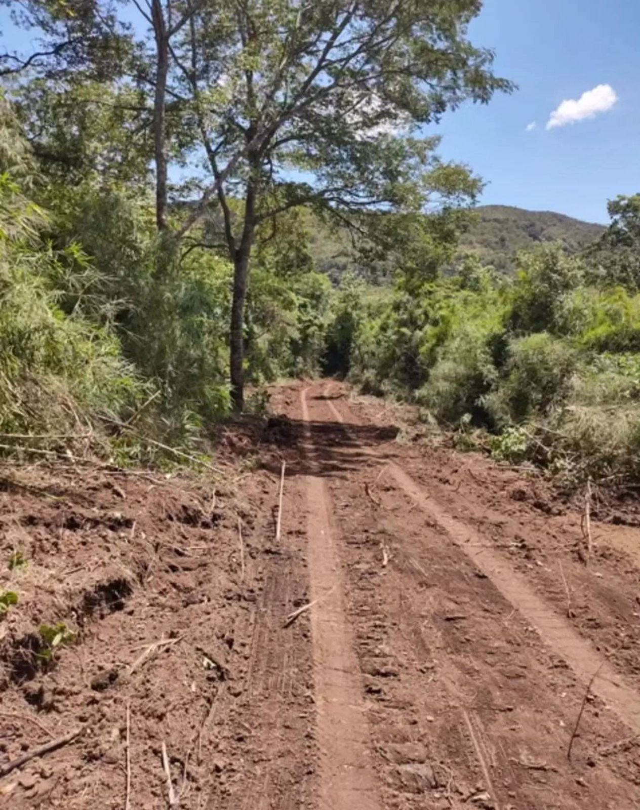 Imagem Fazenda à Venda, 630 HAem ZONA RURAL - Goiás Imagem Fazenda à Venda, 630 HAem ZONA RURAL - Goiás