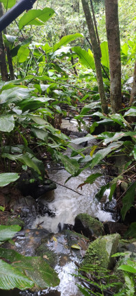 Imagem Terreno à Venda,  em Santaninha - Pedras Grandes